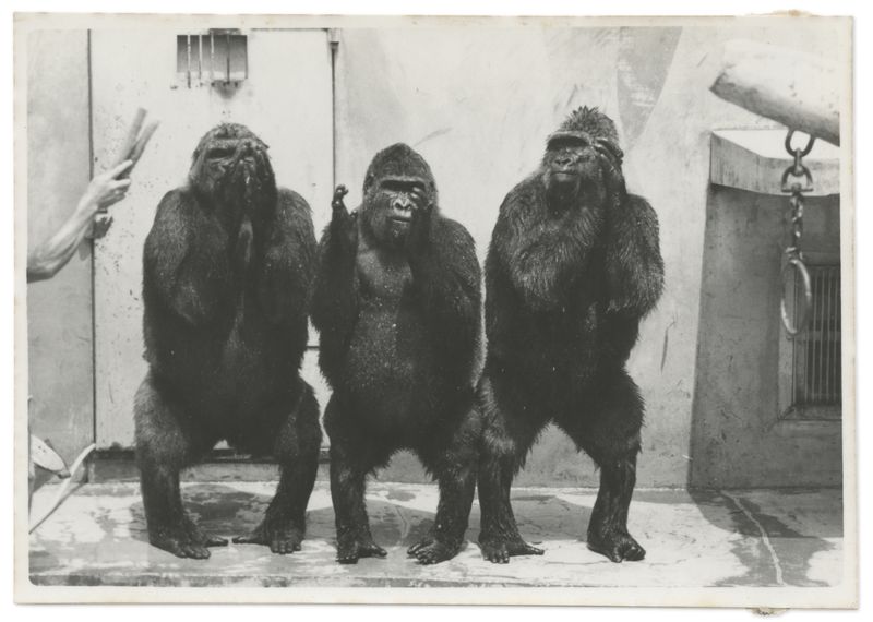 © Edgar Martins - Image from the When He Spoke He Fired Imaginary Shots With His Gun Shaped Hands photography project