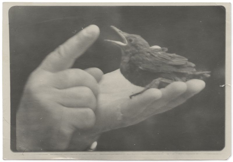 © Edgar Martins - Image from the When He Spoke He Fired Imaginary Shots With His Gun Shaped Hands photography project