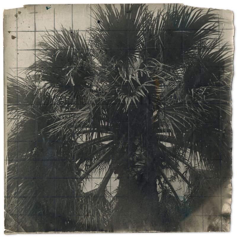 © Edgar Martins - Image from the When he spoke he fired imaginary shots with his gun shaped hands photography project