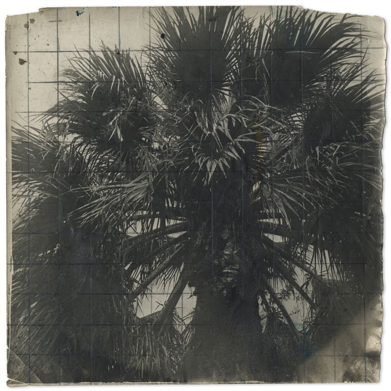 © Edgar Martins - Image from the When he spoke he fired imaginary shots with his gun shaped hands photography project