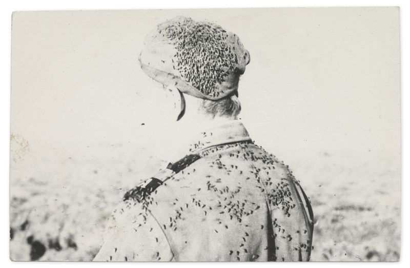 © Edgar Martins - Image from the When he spoke he fired imaginary shots with his gun shaped hands photography project