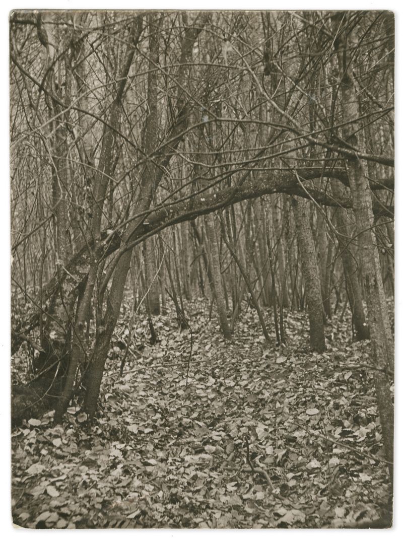 © Edgar Martins - Image from the When he spoke he fired imaginary shots with his gun shaped hands photography project