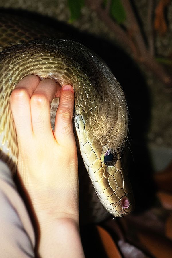 © Fujimura Family - Image from the Parallel World Family photography project