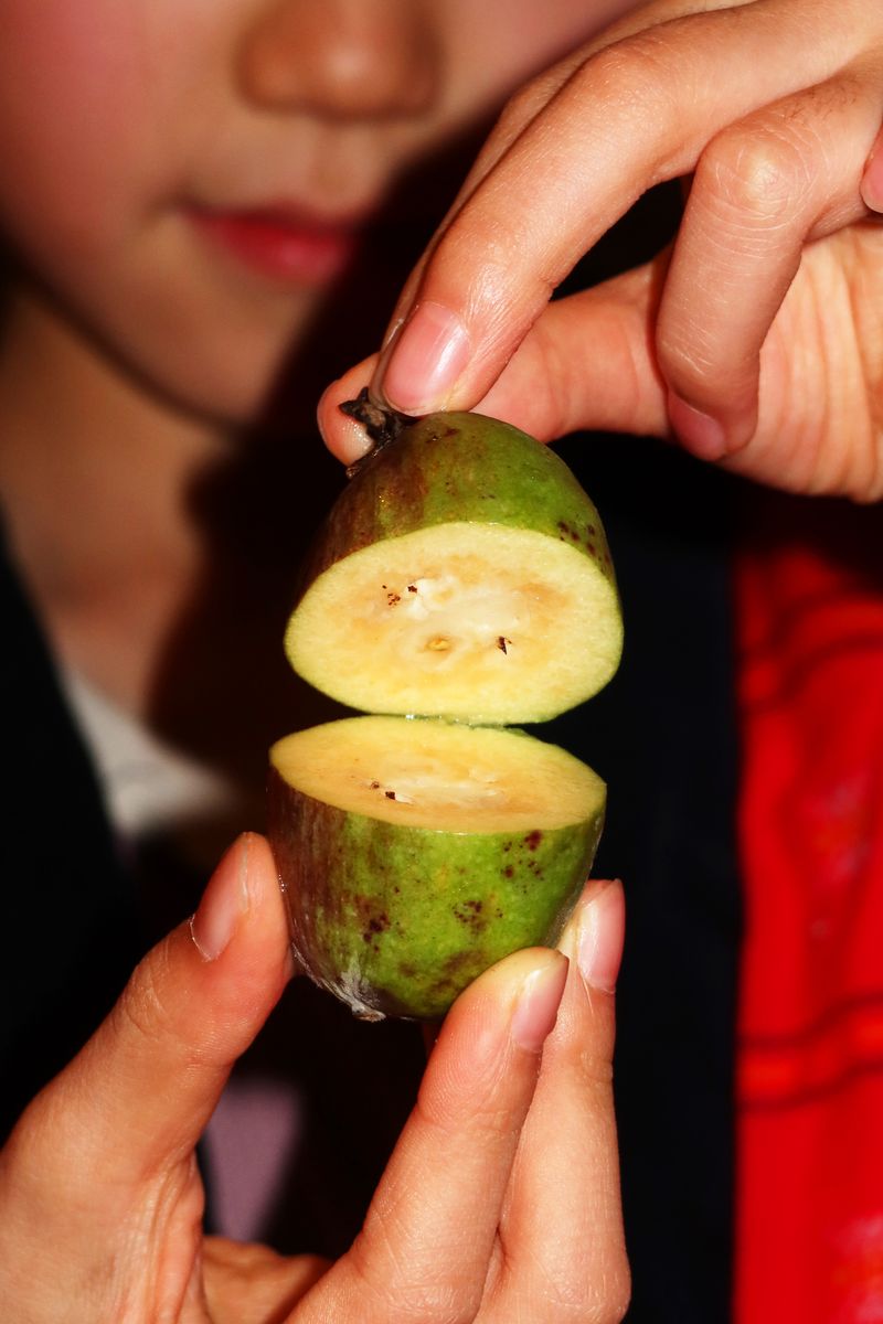 © Fujimura Family - Image from the Parallel World Family photography project