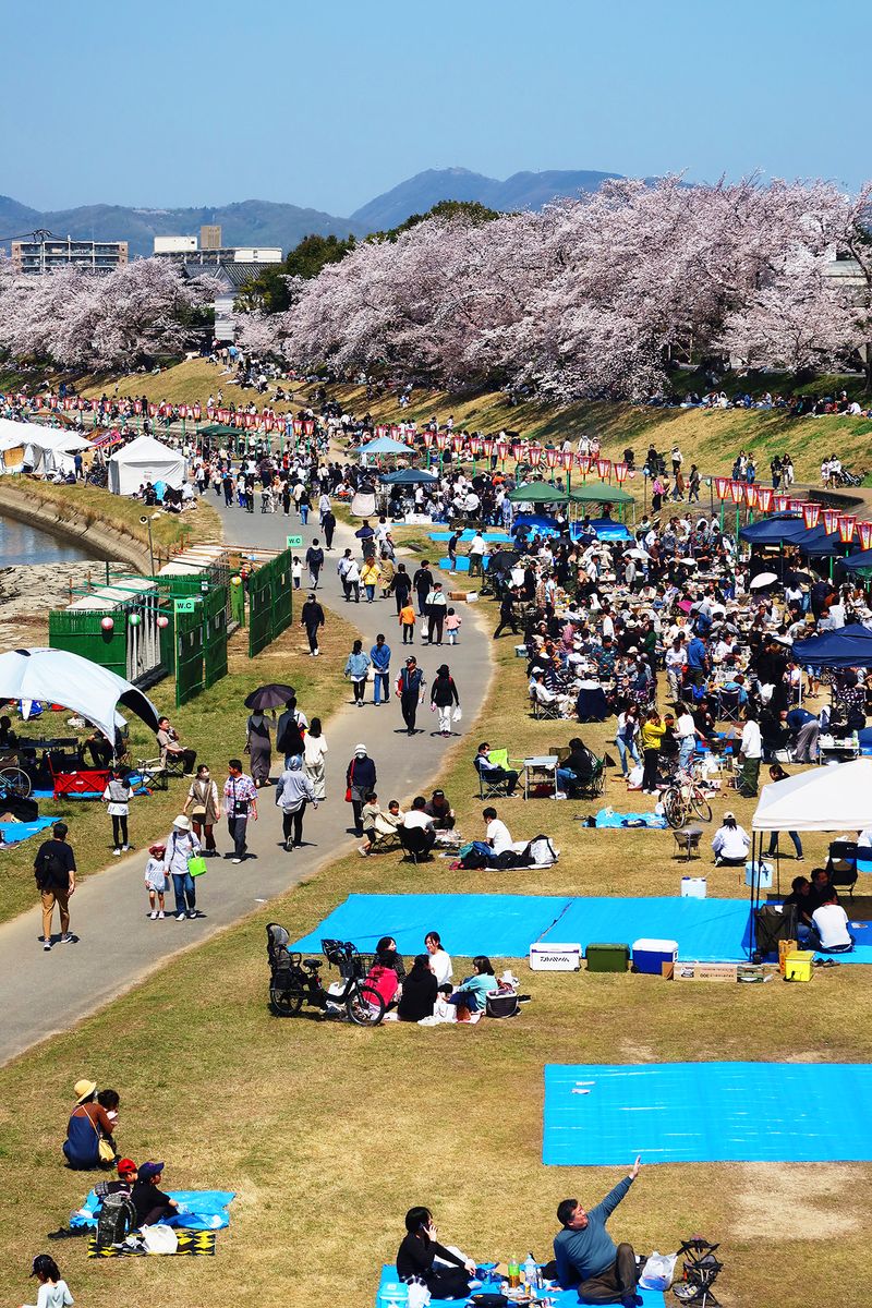© Fujimura Family - Image from the Parallel World Family photography project