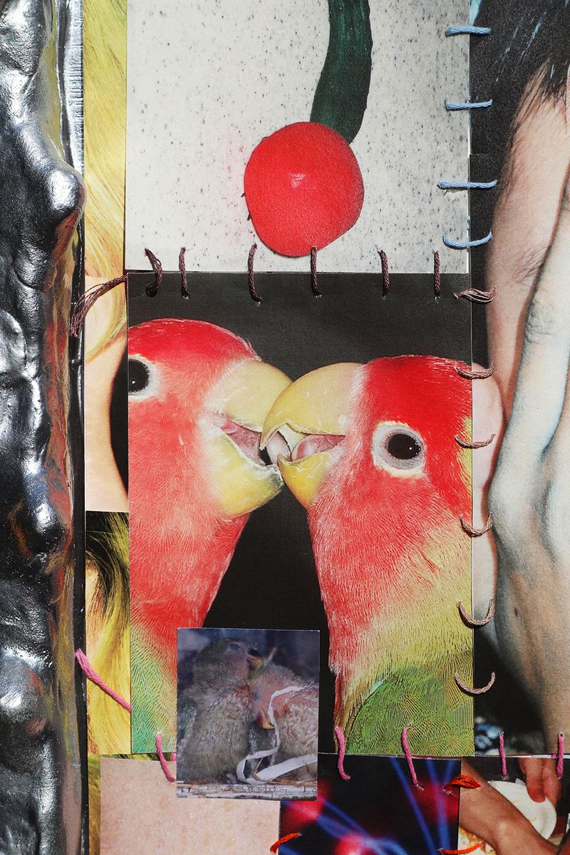 © Fujimura Family - Image from the Parallel Mutant Family photography project