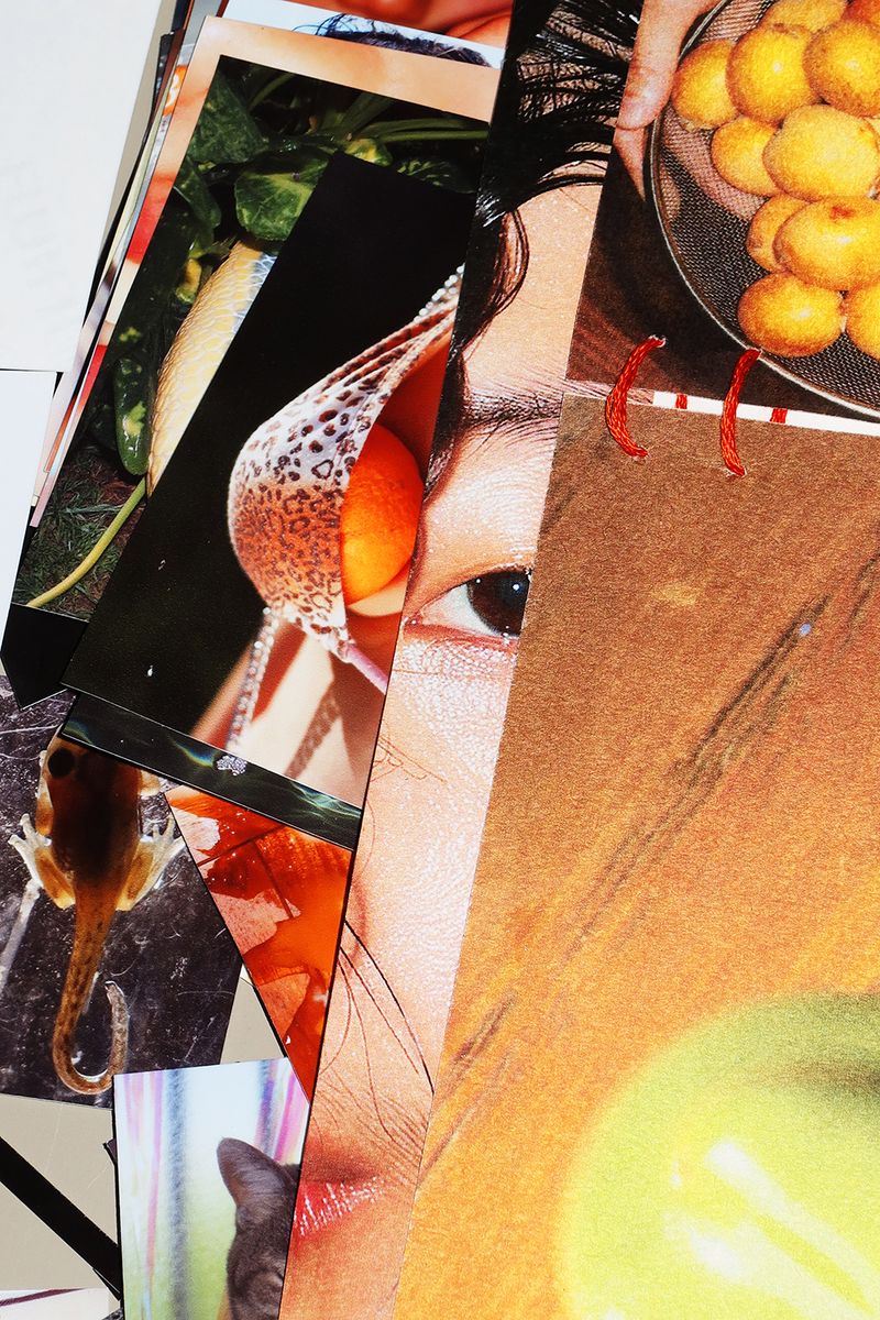 © Fujimura Family - Image from the Parallel Mutant Family photography project