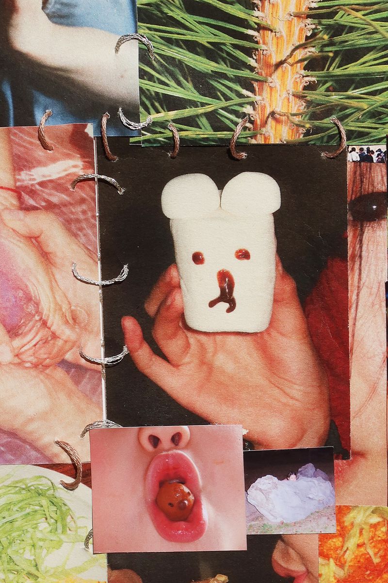 © Fujimura Family - Image from the Parallel Mutant Family photography project