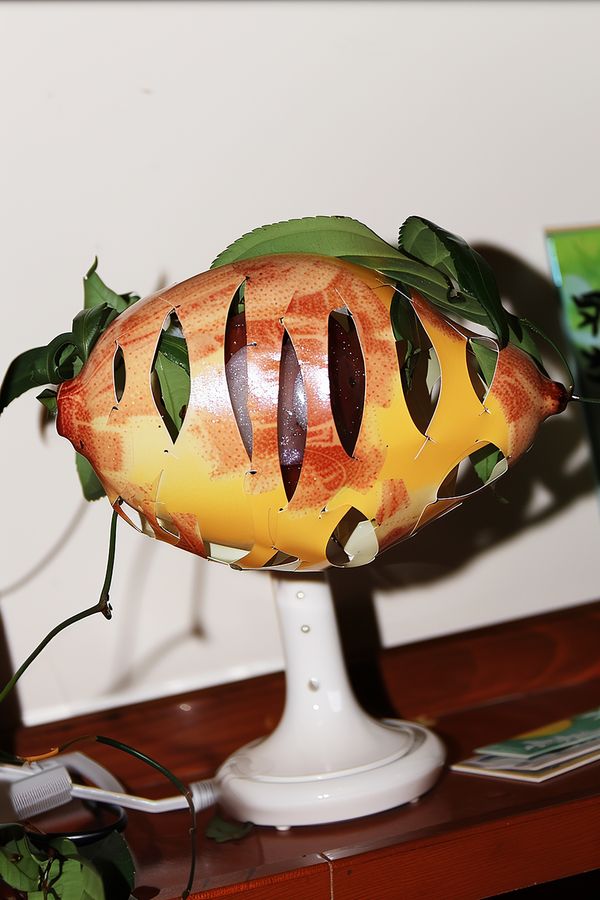 © Fujimura Family - Image from the Parallel World Family photography project