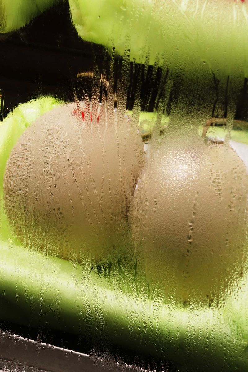 © Fujimura Family - Image from the Parallel World Family photography project