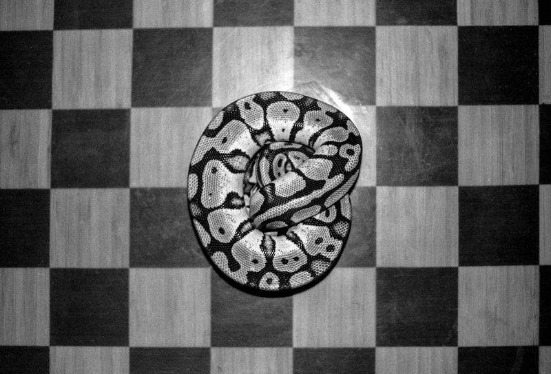 © Kıvılcım S güngörün - Image from the meltaround photography project