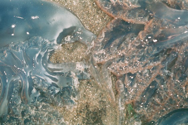 © Kıvılcım S güngörün - Image from the meltaround photography project