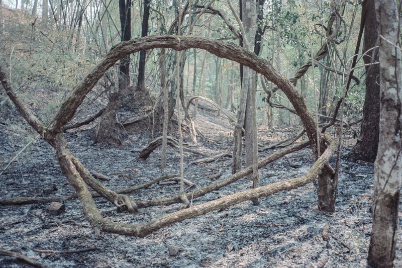 © Kıvılcım S güngörün - Image from the meltaround photography project