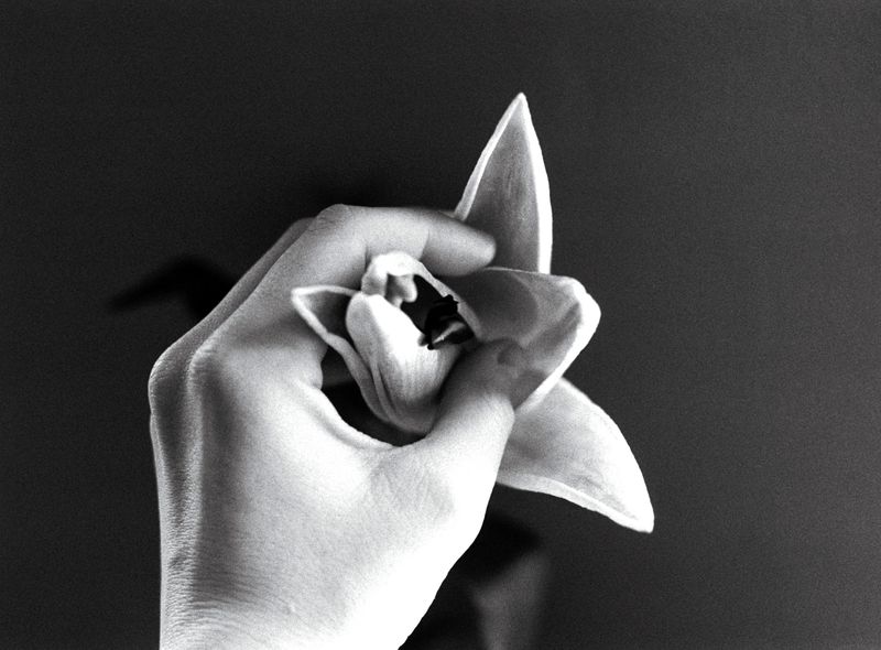 © Kıvılcım S güngörün - Image from the meltaround photography project