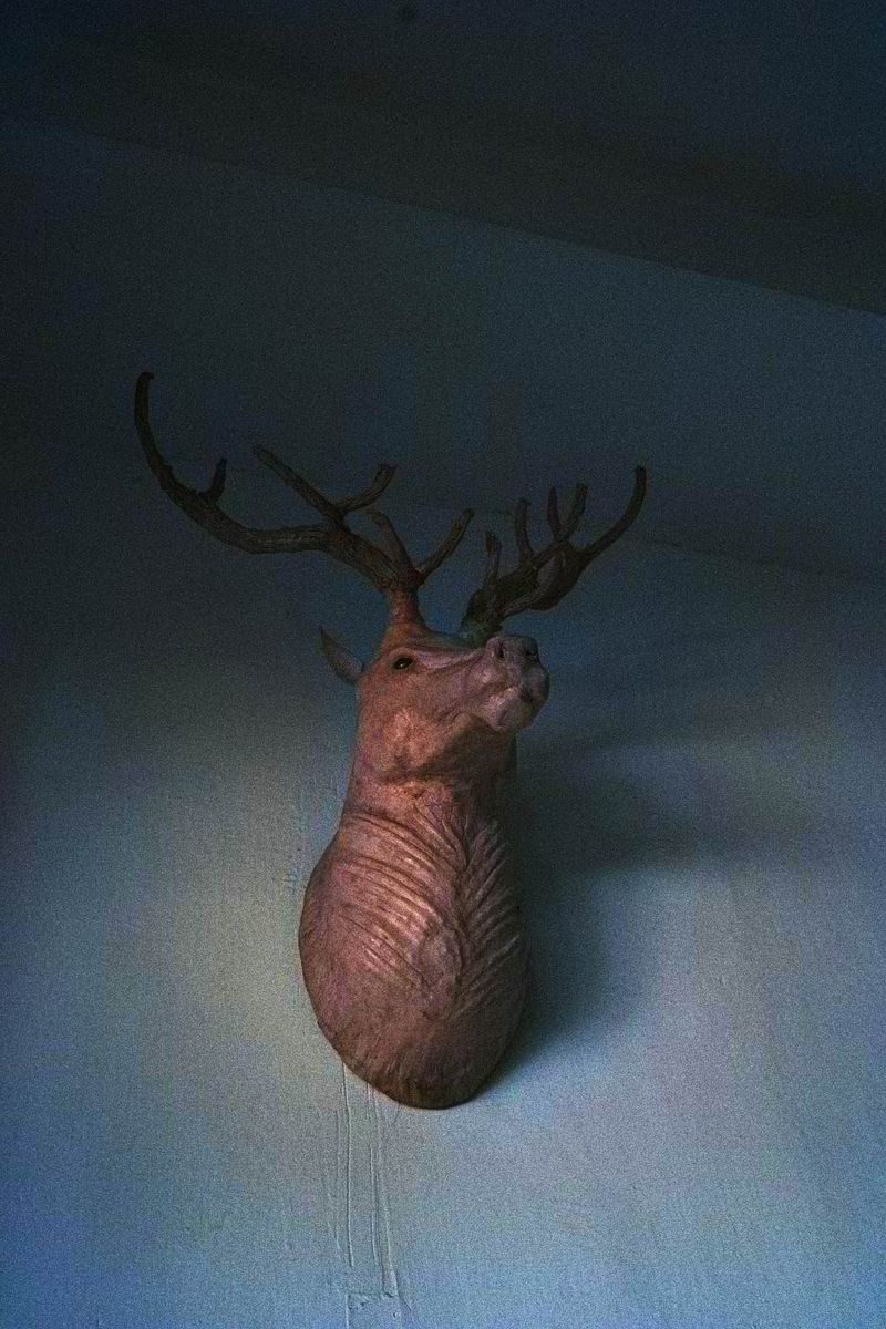 © Rohit Saha - Alive in wonderland,2024.