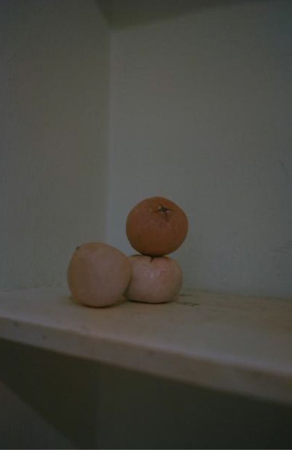 © Rohit Saha - Alive in wonderland,2024.