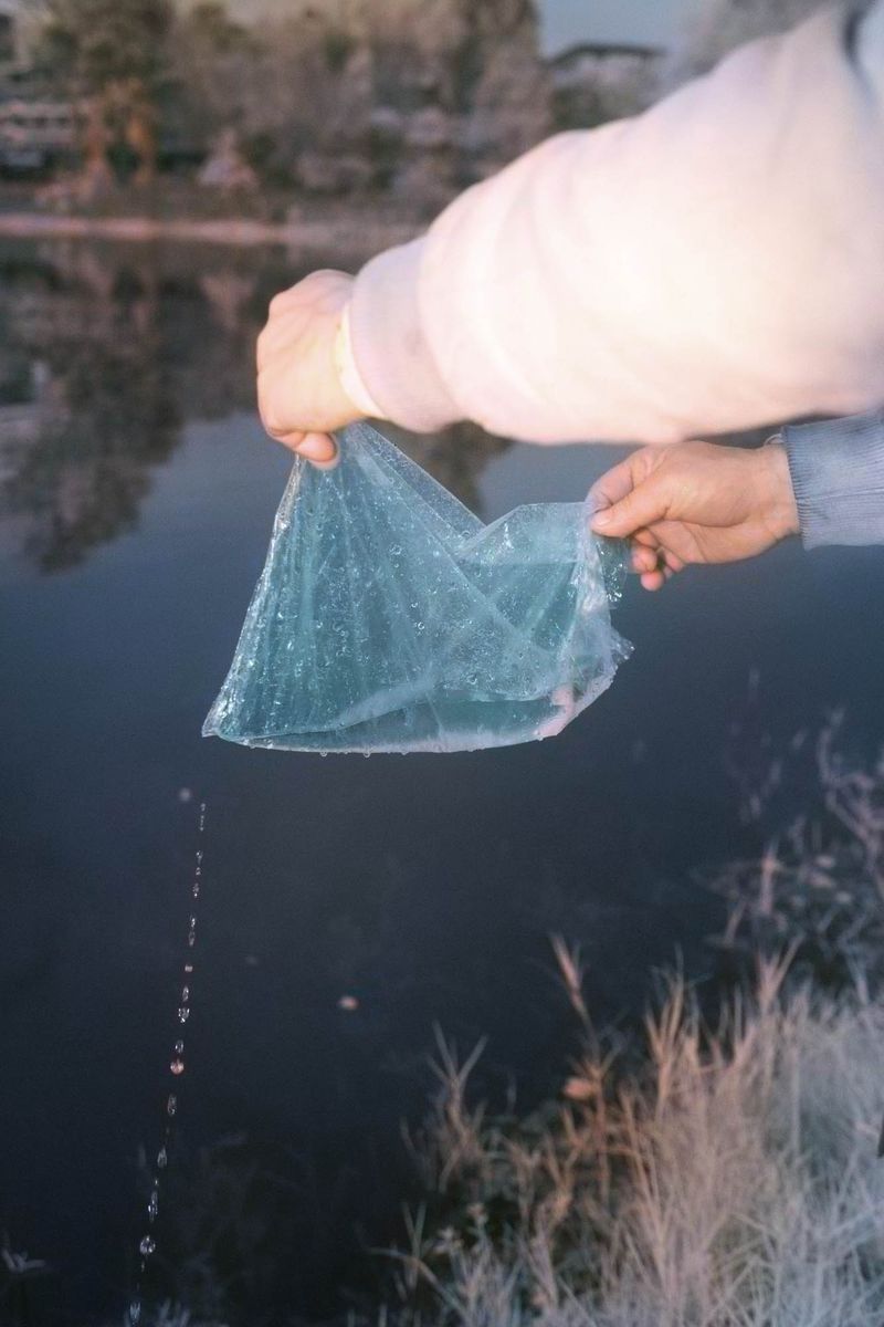 © Rohit Saha - Alive in wonderland,2024.