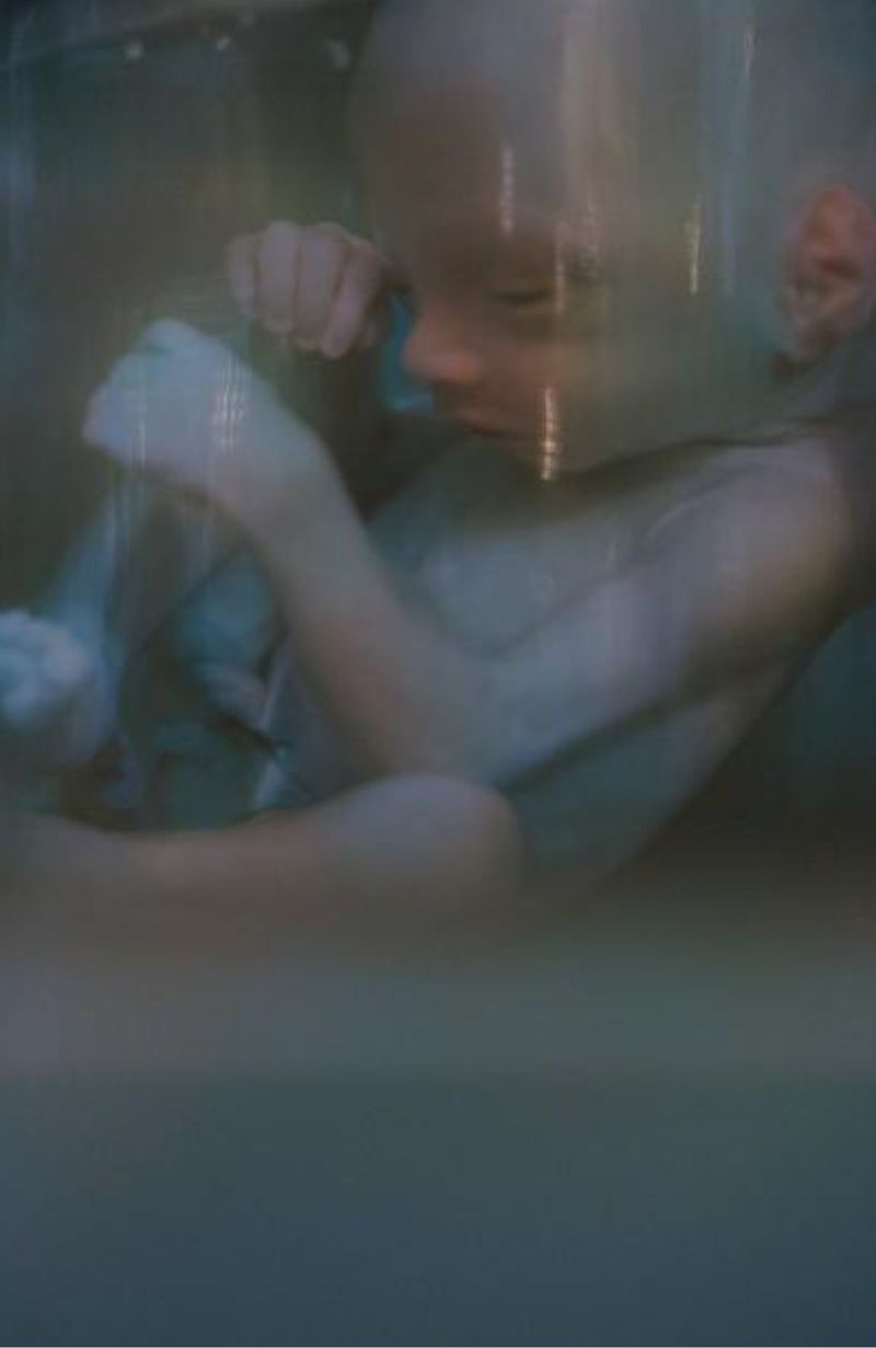 © Rohit Saha - Alive in wonderland,2024.