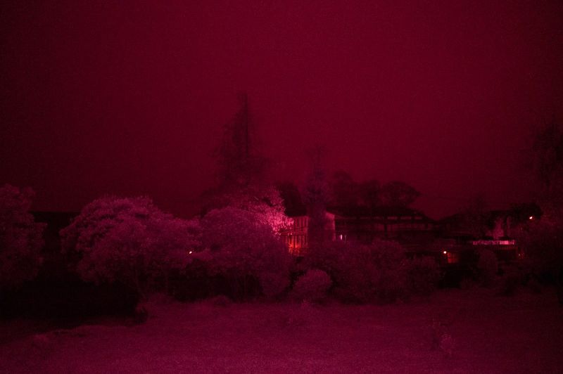 © Rohit Saha - The factory.Alive in wonderland,2024.