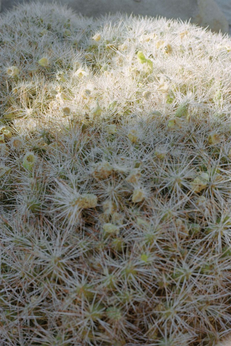© Federica Mambrini - Image from the L'albergo della lontananza / Far far stay photography project