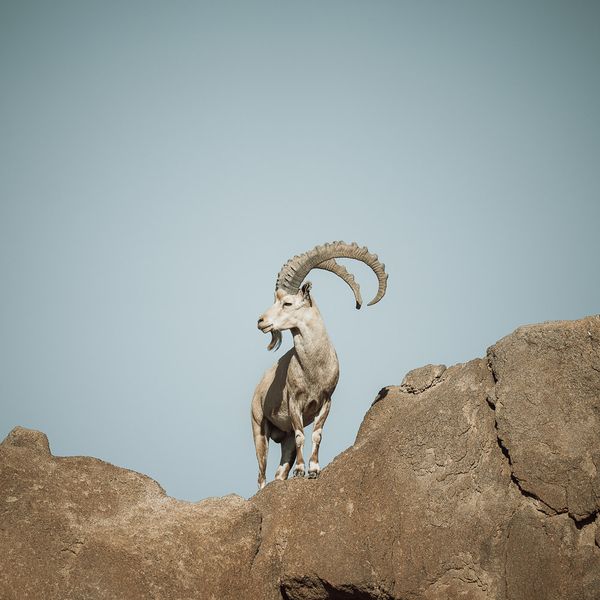 Square Photo Exhibit