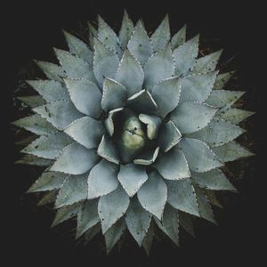 SOUTHWEST Photo Exhibit