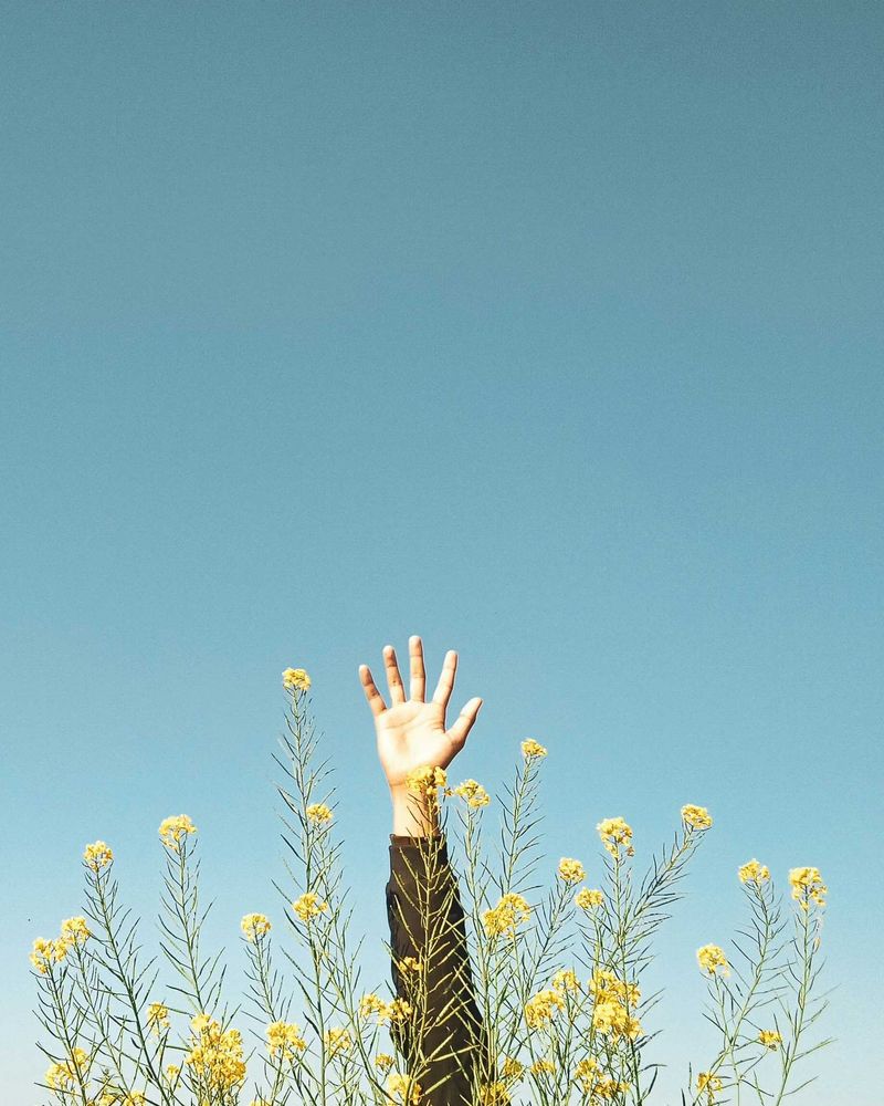 MINIMALISM Photo Exhibit