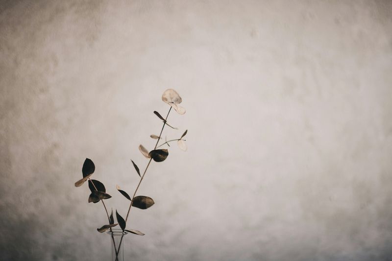 MINIMALISM Photo Exhibit