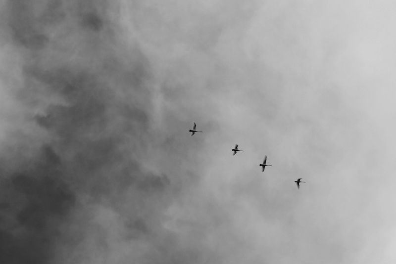 MINIMALISM Photo Exhibit