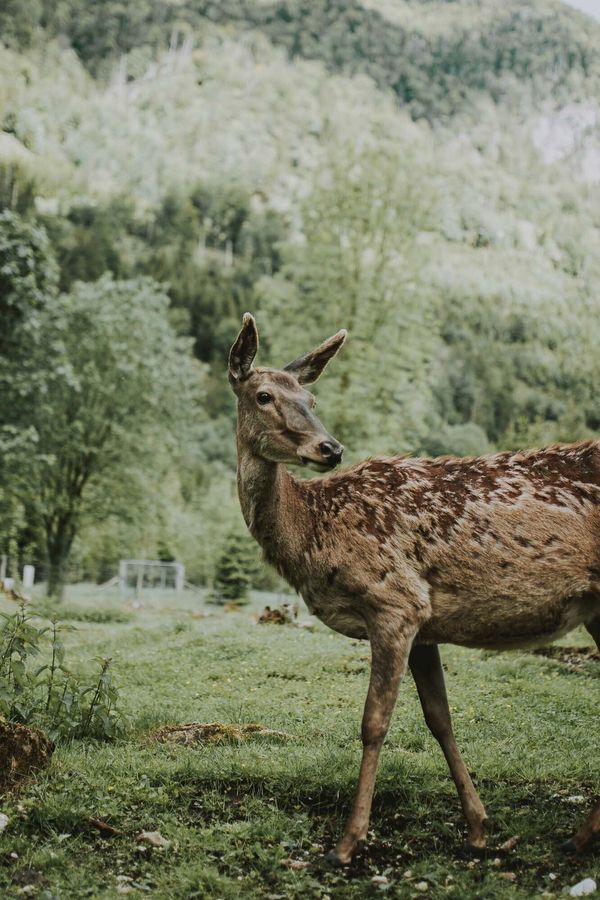 Three Artist Photography Exhibit