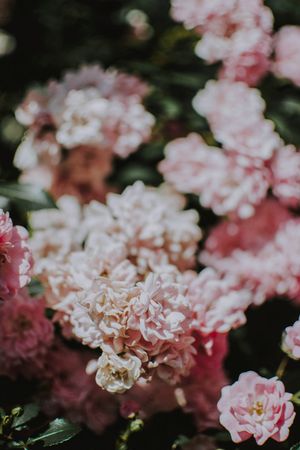 Three Artist Photography Exhibit