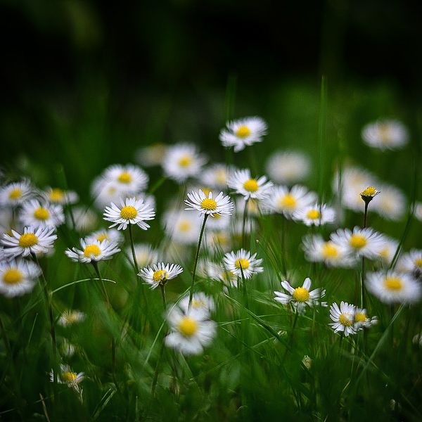 SQUARE Photography Exhibit