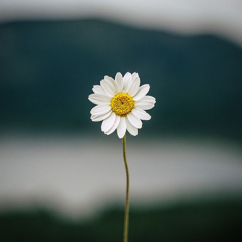 SQUARE Photography Exhibit