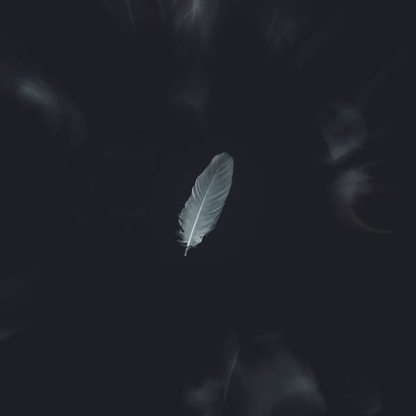 SQUARE Photography Exhibit