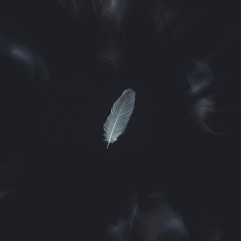 SQUARE Photography Exhibit