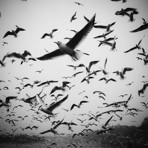 SQUARE Photography Exhibit