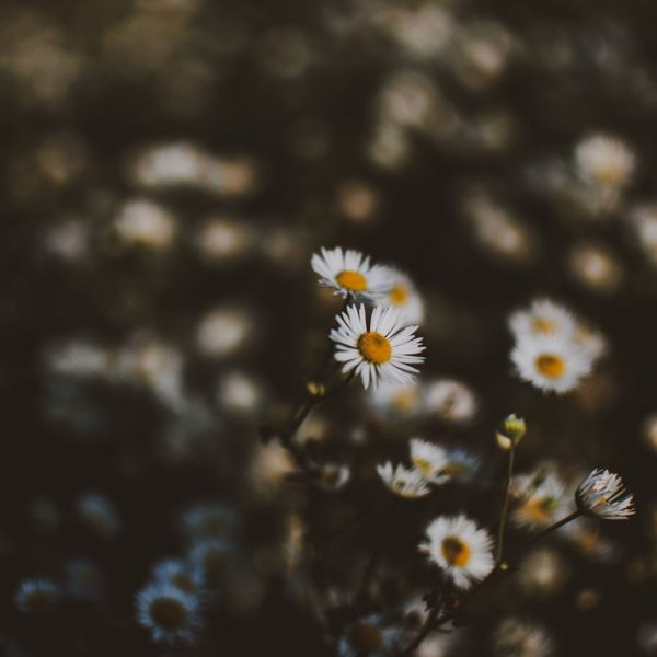 SQUARE Photography Exhibit