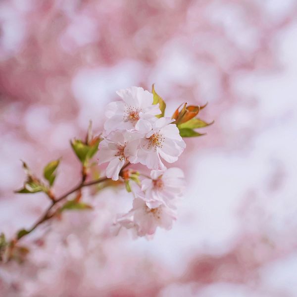 SQUARE Photography Exhibit