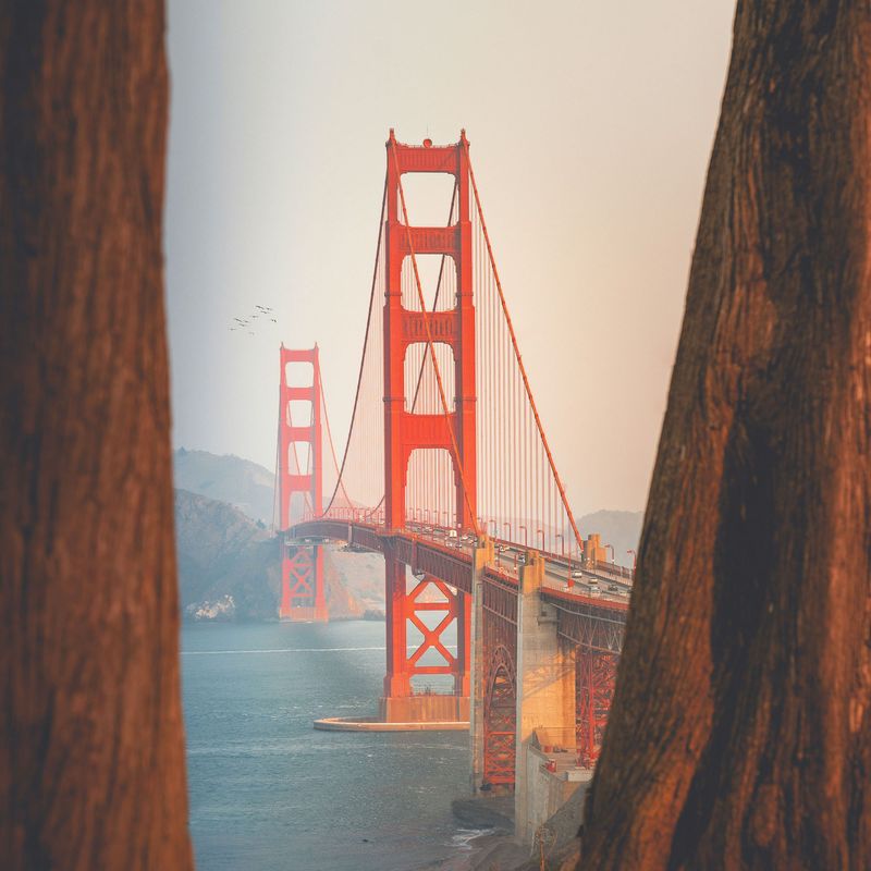 SQUARE Photography Exhibit