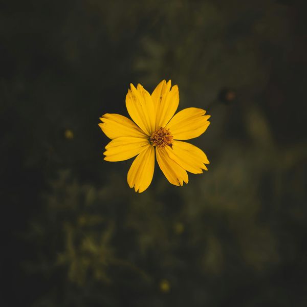 SQUARE Photography Exhibit