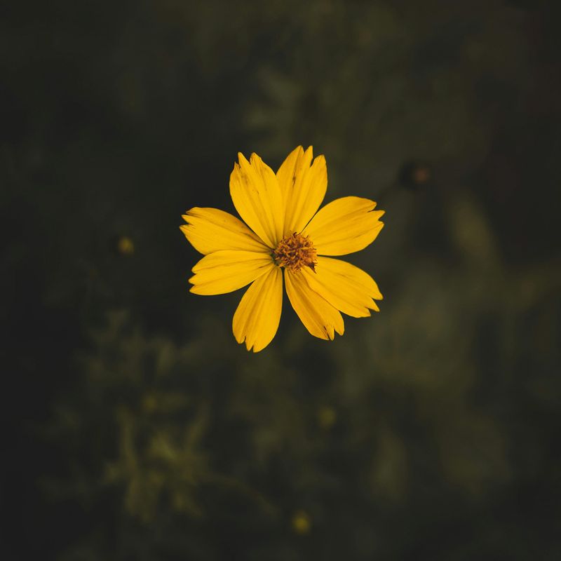 SQUARE Photography Exhibit