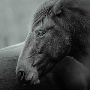 SQUARE Photography Exhibit