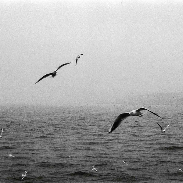 SQUARE Photography Exhibit