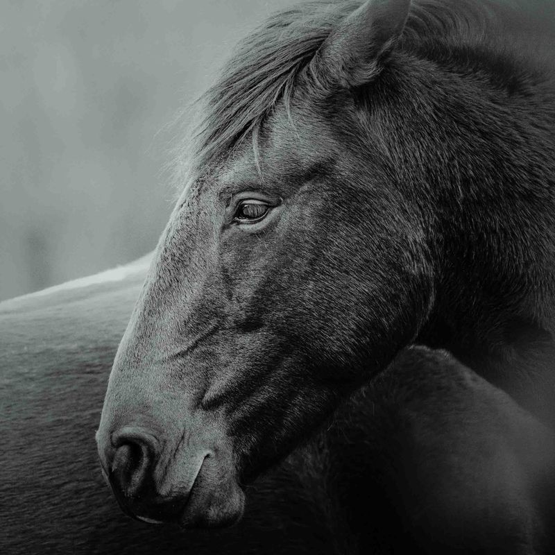 SQUARE Photography Exhibit