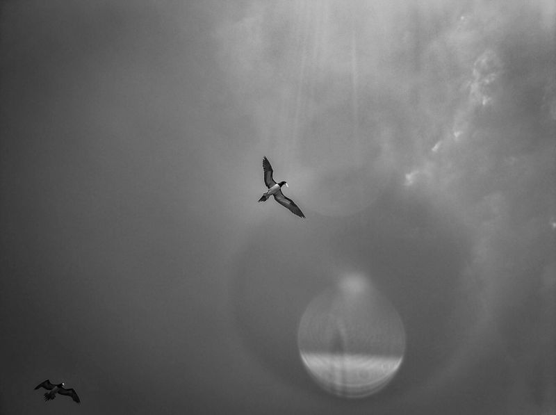 Grayscale Photography Exhibit