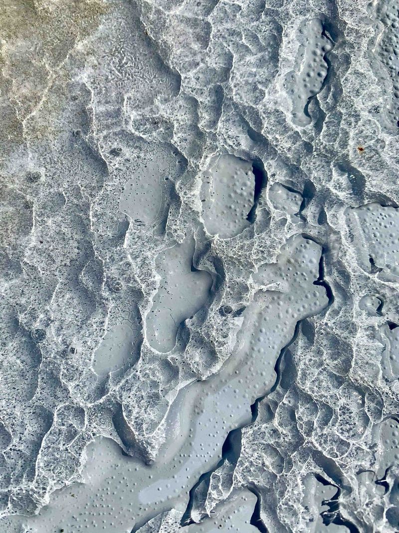 NATURE Photo Exhibit