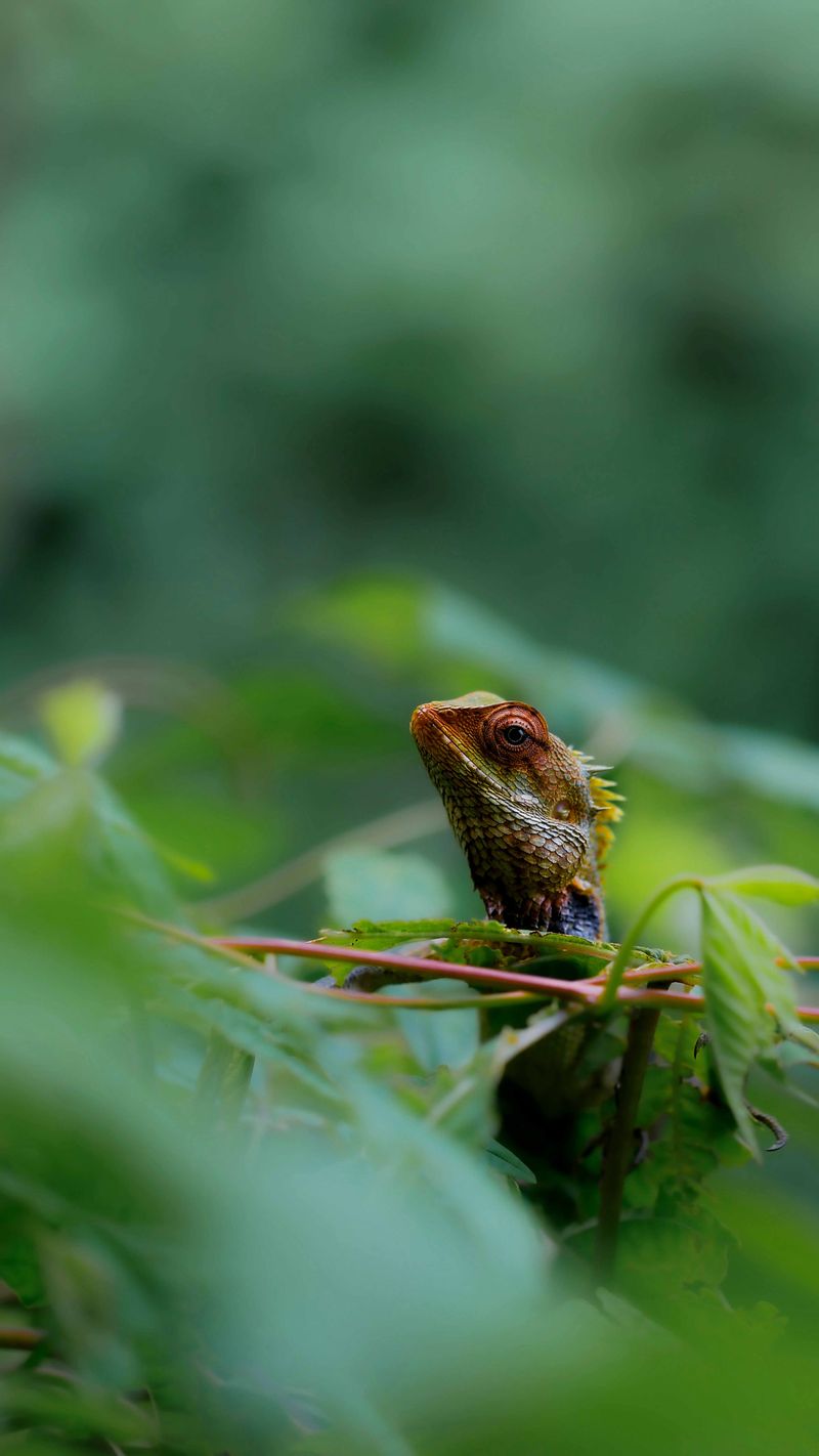 NATURE Photo Exhibit
