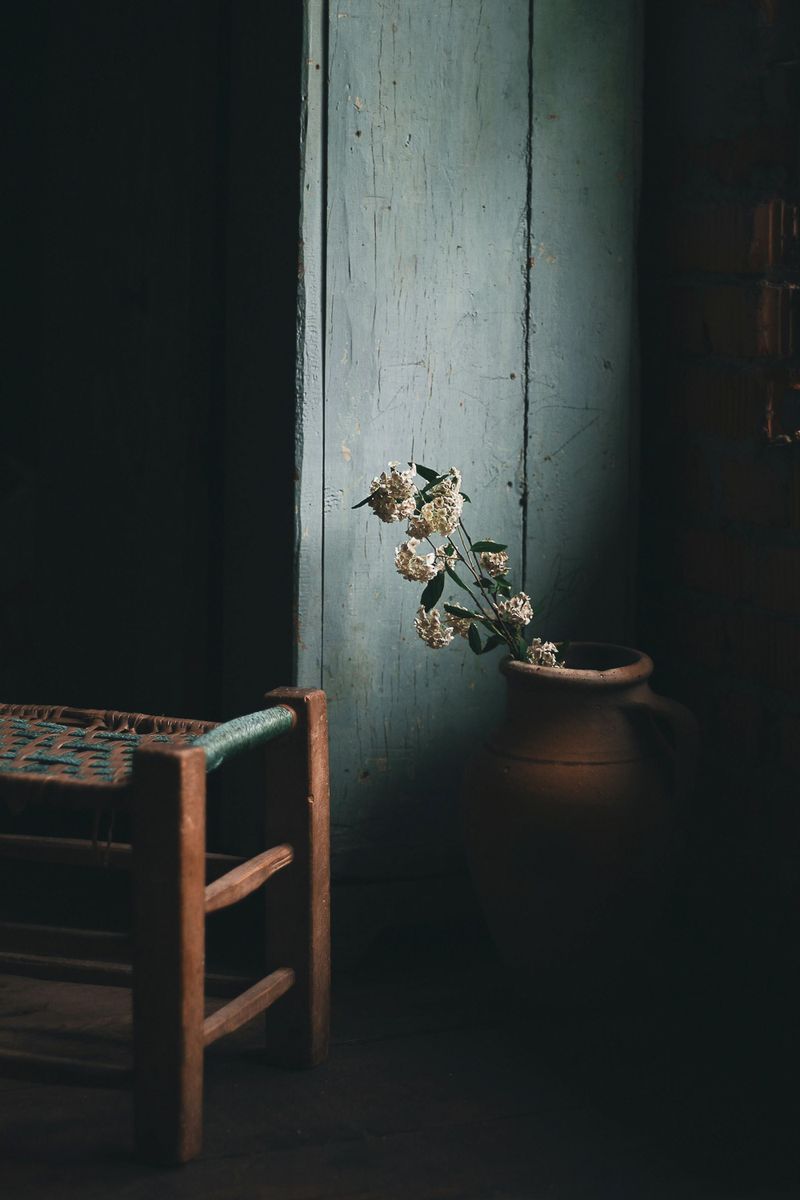 LIGHT AND SHADOW Photo Exhibit