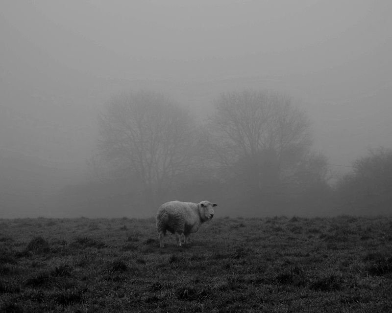 Solitude Photography Exhibit