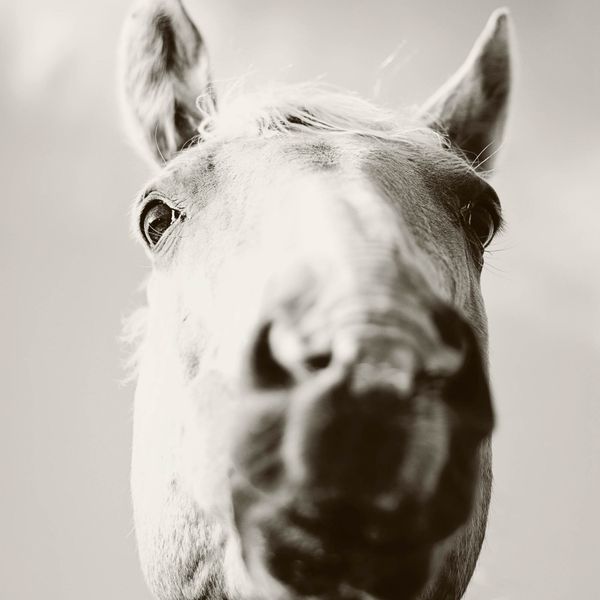 SOUTHWEST Photography Exhibit